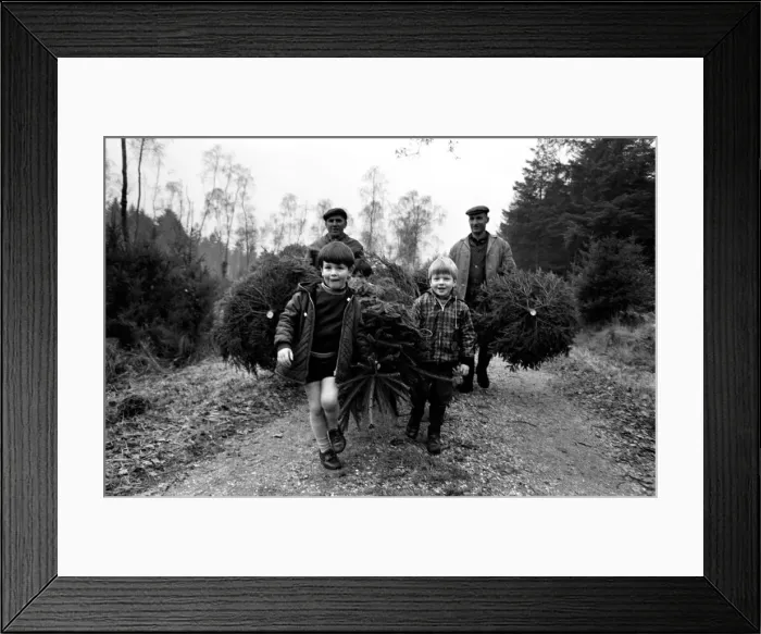 Framed Print : Forestry Commission employees - brothers Eill and Charlie Kitcher (Leather Jerkin Framed Print : Forestry Commission employees - brothers Eill and Charlie Kitcher (Leather Jerkin