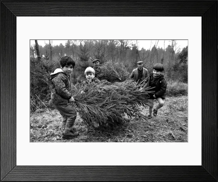 Framed Print : Forestry Commission employees - brothers Eill and Charlie Kitcher (Leather Jerkin
