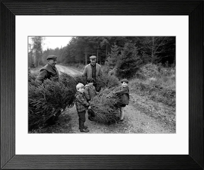 Framed Print : Forestry Commission employees - brothers Eill and Charlie Kitcher (Leather Jerkin Framed Print : Forestry Commission employees - brothers Eill and Charlie Kitcher (Leather Jerkin