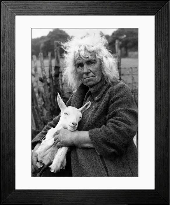 Framed Print : Miss Thompson with Miranda - one of her 50 goats. December 1954 P011772 Framed Print : Miss Thompson with Miranda - one of her 50 goats. December 1954 P011772