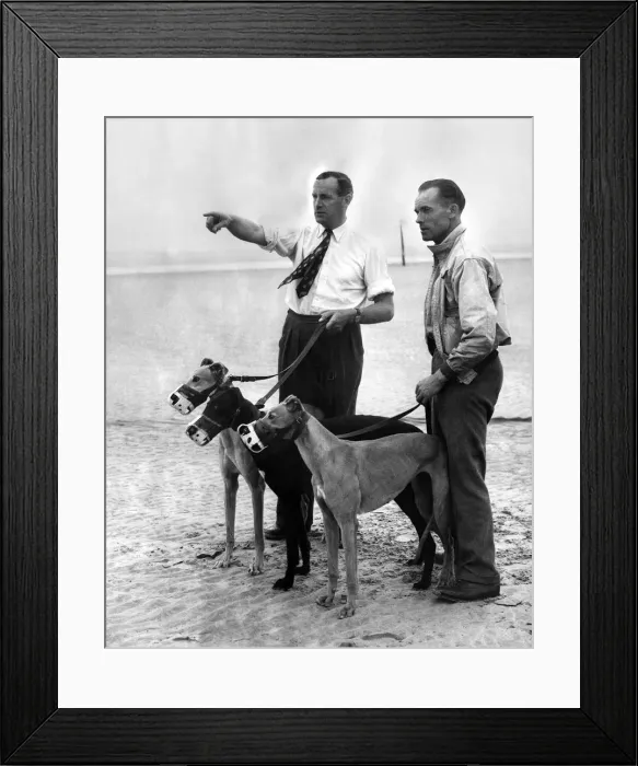 Framed Print : Trainer Leslie Reynolds (pointing) with his head kennelman Jinks Jones Framed Print : Trainer Leslie Reynolds (pointing) with his head kennelman Jinks Jones