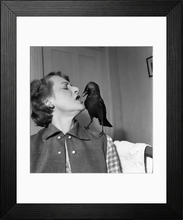 Framed Print : Woman talking to a bird perched on her shoulder. November 1952 C5808-003 Framed Print : Woman talking to a bird perched on her shoulder. November 1952 C5808-003