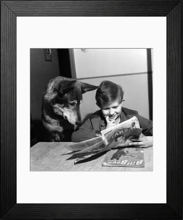 Framed Print : Boy reading a comic with his pet dog December 1952 C5868 Framed Print : Boy reading a comic with his pet dog December 1952 C5868