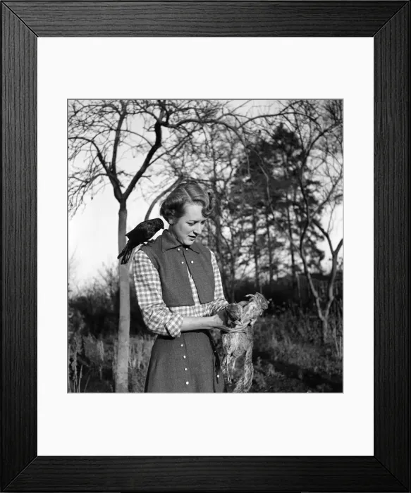 Framed Print : Woman with a bird perched on her shoulder looking at two dead squirrels in the garden of Framed Print : Woman with a bird perched on her shoulder looking at two dead squirrels in the garden of