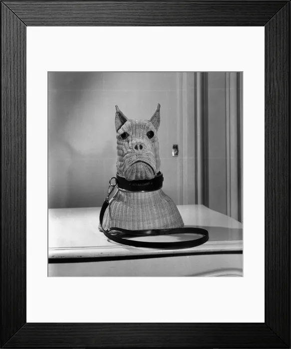 Framed Print : Fashions- Dior & Schiaparelli. November 1952 C5710 Framed Print : Fashions- Dior & Schiaparelli. November 1952 C5710
