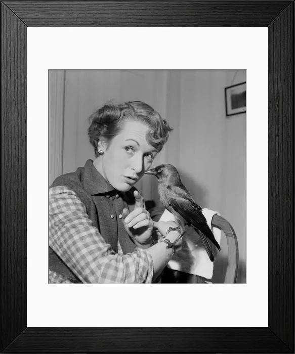 Framed Print : Woman holding a bird on her arm. November 1952 C5808-006 Framed Print : Woman holding a bird on her arm. November 1952 C5808-006