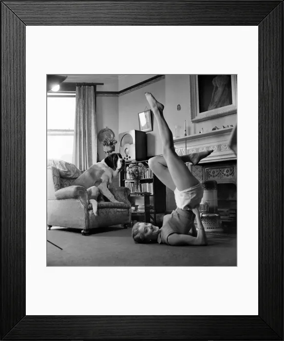 Framed Print : Shirley Burke doing stretching exercises in the living room of her home with her pet St