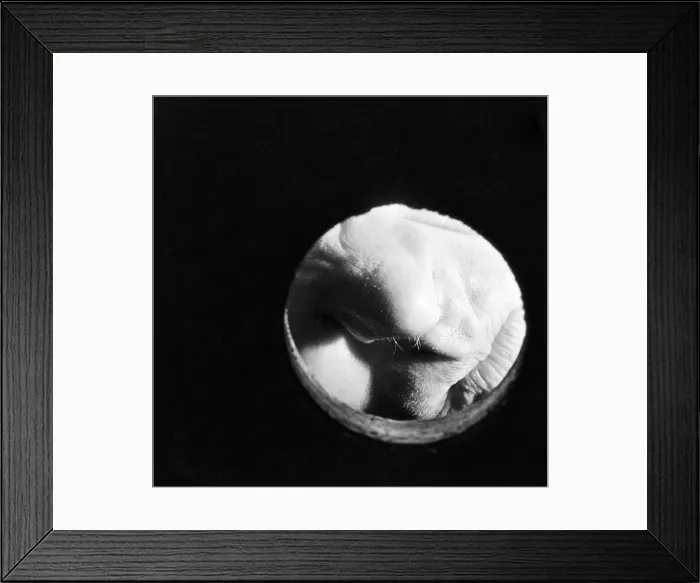 Framed Print : Fred Wycherley of Wolverhampton is a Smeller Framed Print : Fred Wycherley of Wolverhampton is a Smeller