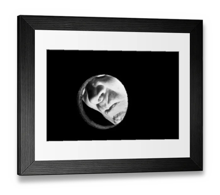 Framed Print : Fred Wycherley of Wolverhampton is a Smeller Framed Print : Fred Wycherley of Wolverhampton is a Smeller