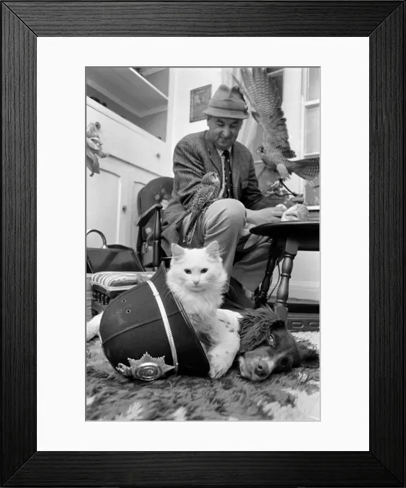Framed Print : Welsh policeman Ken Williams, 40, has just moved to a new posting at Trearddur Bay Framed Print : Welsh policeman Ken Williams, 40, has just moved to a new posting at Trearddur Bay