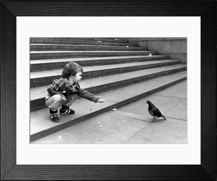 Framed Print : John Milller feeding a pigeon in Trafalger Square. September 30th 1983 Framed Print : John Milller feeding a pigeon in Trafalger Square. September 30th 1983