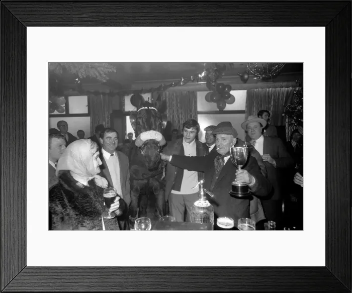 Framed Print : Winner of this years Horse Trotting Exhibition along the Highway, Stepney Framed Print : Winner of this years Horse Trotting Exhibition along the Highway, Stepney