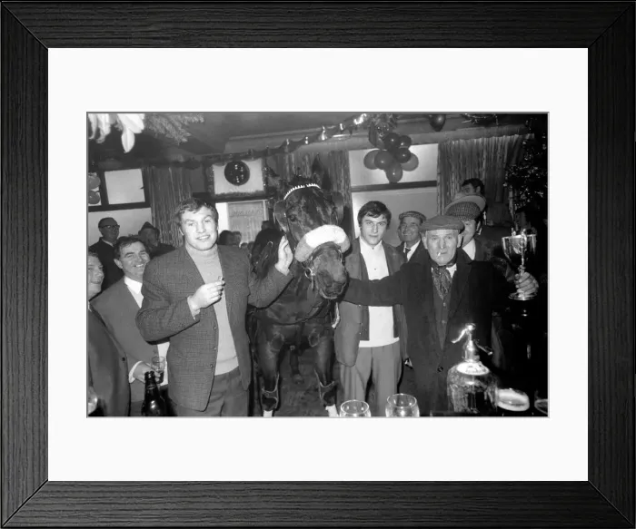 Framed Print : Winner of this years Horse Trotting Exhibition along the Highway, Stepney Framed Print : Winner of this years Horse Trotting Exhibition along the Highway, Stepney