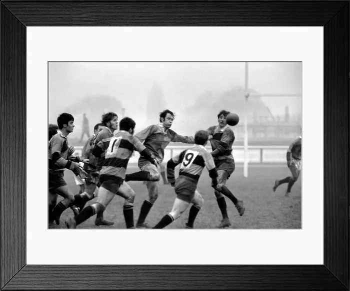 Framed Print : Harlequins v Newport. Harlequins struggle to gain possession of the ball in a line