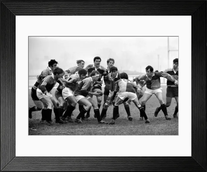 Framed Print : Harlequins v Newport. No 8 Williams, prepares to break away from a loose scrum Framed Print : Harlequins v Newport. No 8 Williams, prepares to break away from a loose scrum
