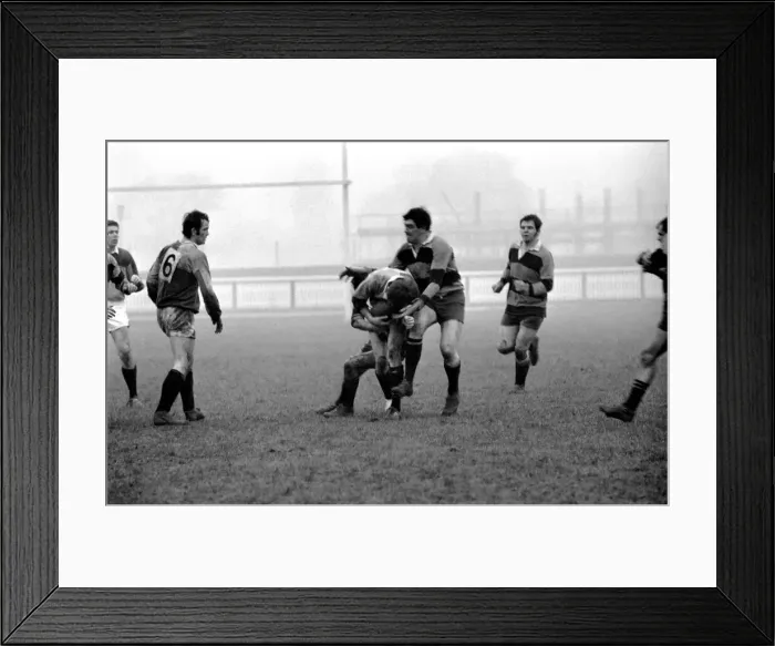 Framed Print : Harlequins v Newport. Harlequins forward successfully obtains a breakaway with Framed Print : Harlequins v Newport. Harlequins forward successfully obtains a breakaway with