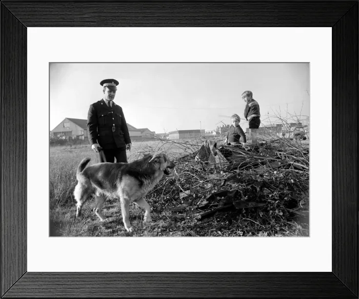 Framed Print : Police man and dog search for a man on the run at Droylsden Framed Print : Police man and dog search for a man on the run at Droylsden