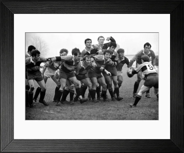 Framed Print : Harlequins v Newport. No. 9 of Harlequins (Gronow) gets away with the ball Framed Print : Harlequins v Newport. No. 9 of Harlequins (Gronow) gets away with the ball