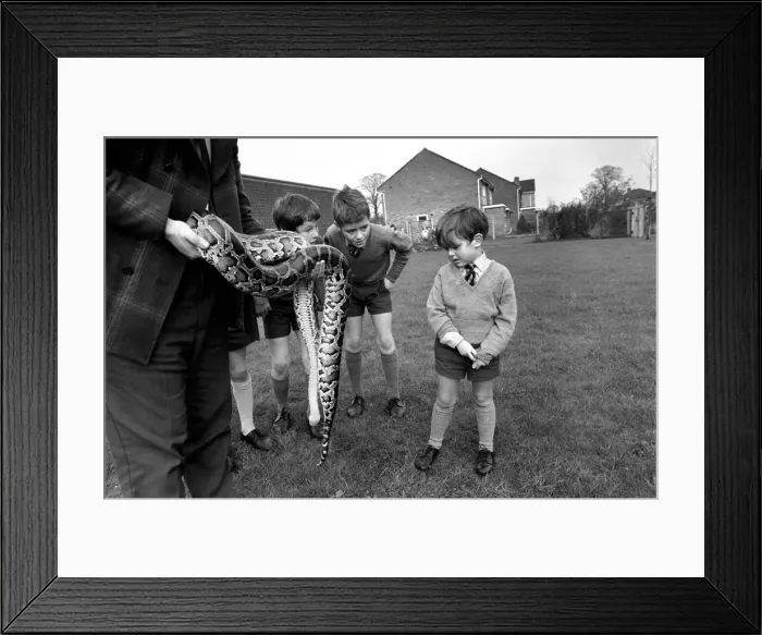 Framed Print : After giving the children at Wellgreen Primary School, Hale, a lecture on wild animals