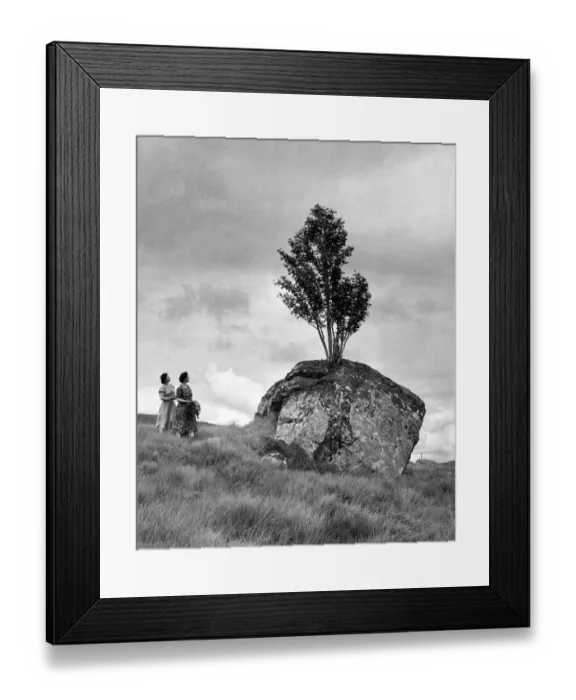Framed Print : Tree growing out of a rock in the Pass of Glen Coe, Argvill, Western Scotland