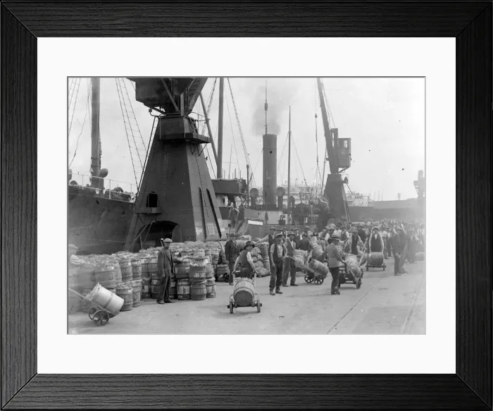 Framed Print : General view at Southampton docks showing potatoes from Jersey being unloaded Framed Print : General view at Southampton docks showing potatoes from Jersey being unloaded