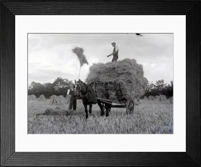 Framed Print : Farmers at work, harvesting crops at their farm in Cullompton Framed Print : Farmers at work, harvesting crops at their farm in Cullompton