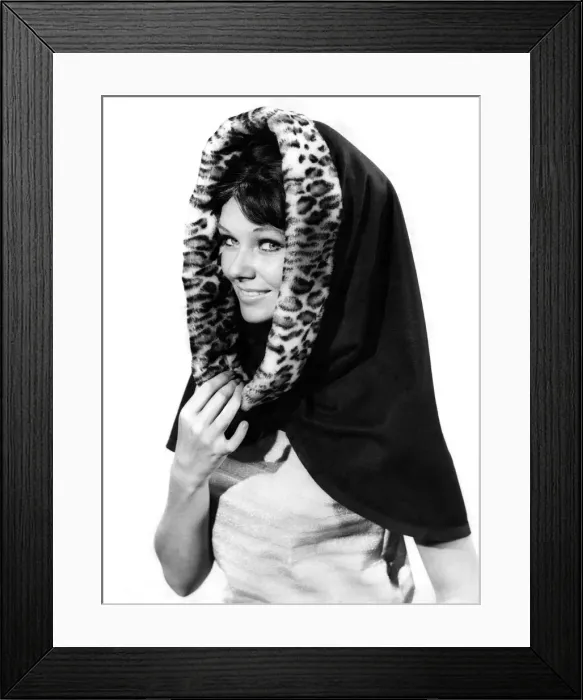 Framed Print : Model wearing a headscarf with leopard skin patterned lining