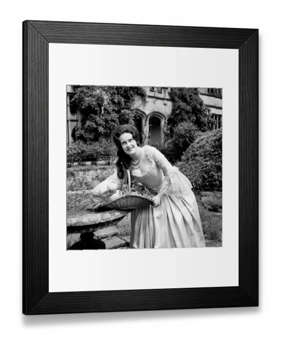 Framed Print : The Hon. Mrs. Lane Stourton of Knaresborough who will be Nell Gwynn at a Charity Ball