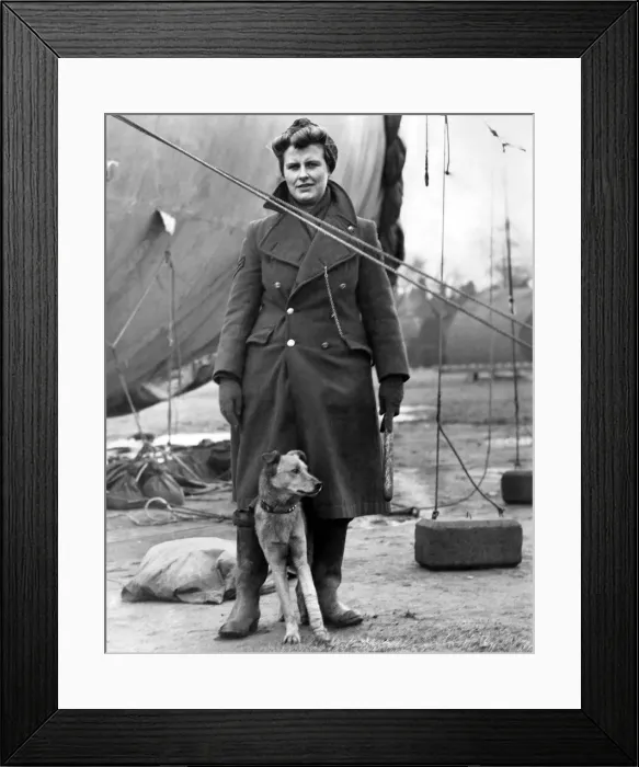 Framed Print : World War II Mascots. With his broken left leg still in bandage Jim