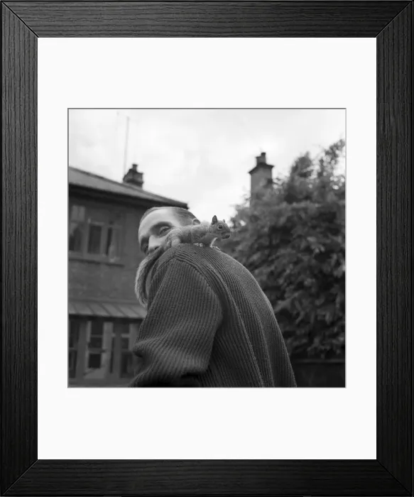 Framed Print : Pet Squirrel John Willy seen here on the shoulder of a man. June 1960 M4257-006