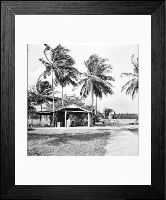 Framed Print : Palm Trees and Beach House in Tobago. May 1960 M4289-003 Framed Print : Palm Trees and Beach House in Tobago. May 1960 M4289-003