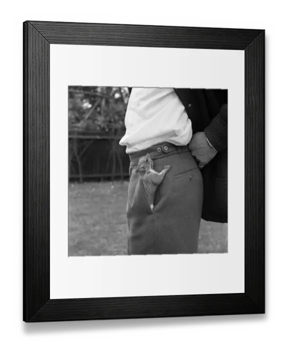 Framed Print : Is that a squirrel in your pocket or are you just happy to see me. June 1960 M4257 Framed Print : Is that a squirrel in your pocket or are you just happy to see me. June 1960 M4257