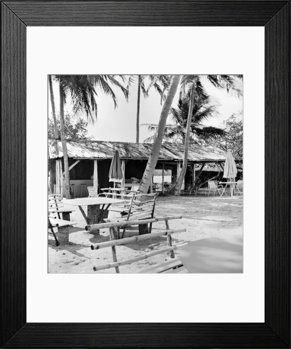 Framed Print : Palm Trees and Beach House in Tobago. May 1960 M4289