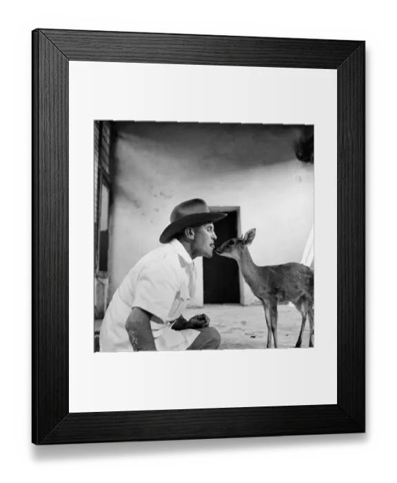 Framed Print : Man and deer at Belle Vue zoo in Manchester June 1960 M4296 Framed Print : Man and deer at Belle Vue zoo in Manchester June 1960 M4296