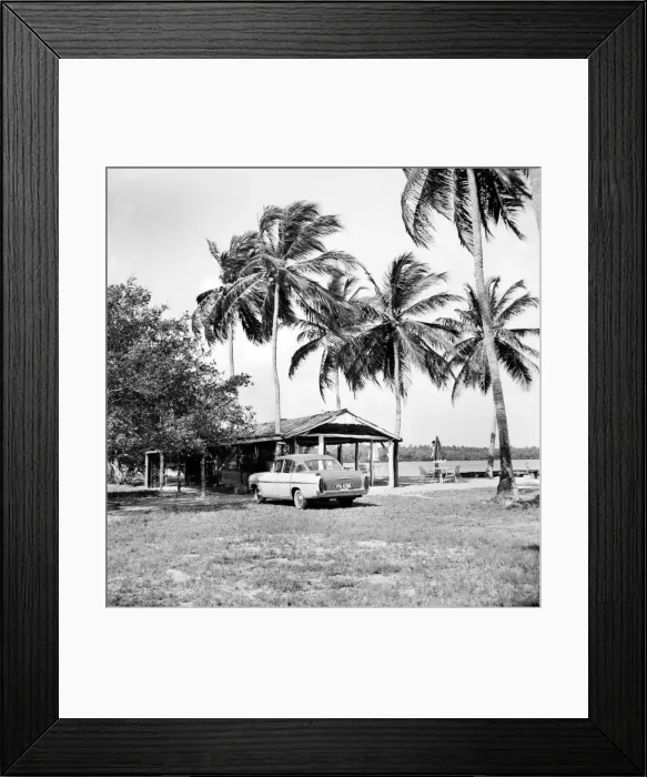 Framed Print : Palm Trees and Beach House in Tobago. May 1960 M4289-005 Framed Print : Palm Trees and Beach House in Tobago. May 1960 M4289-005
