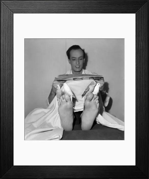 Framed Print : Stage illusionist Kodell with his Budgerigar. September 1952 C4775 Framed Print : Stage illusionist Kodell with his Budgerigar. September 1952 C4775