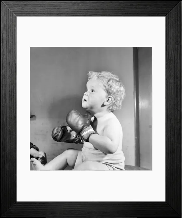 Framed Print : Baby wearing boxing gloves. October 1952 C5091 Framed Print : Baby wearing boxing gloves. October 1952 C5091