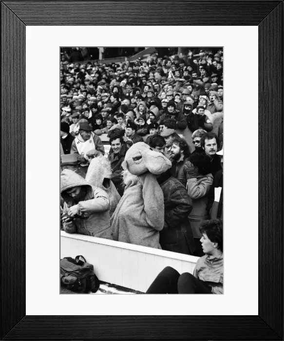 Framed Print : 1986 Five Nations Rugby Union Championship. England v Ireland Framed Print : 1986 Five Nations Rugby Union Championship. England v Ireland