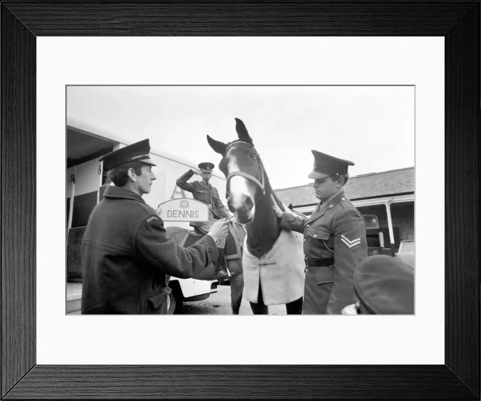 Framed Print : Dennis'is the first Army horse to go into retirement under the recent