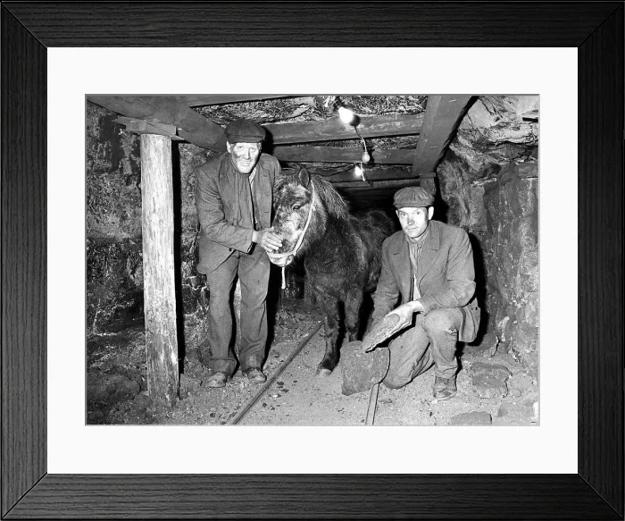 Framed Print : Frank Clough (left) and Bobby Bell (Right) the two miners from County Durham pictures
