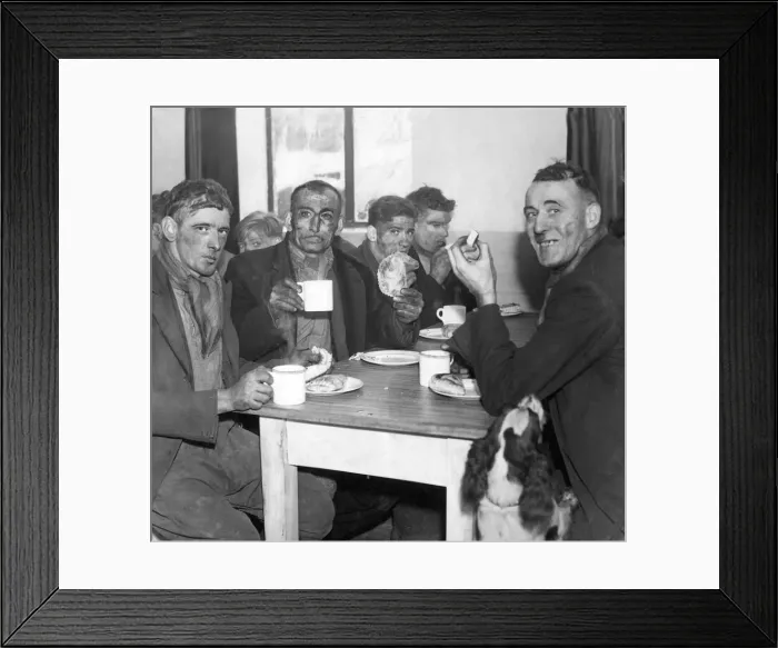 Framed Print : Determined not to be out of it'the favourite pet of one of the miners Framed Print : Determined not to be out of it'the favourite pet of one of the miners