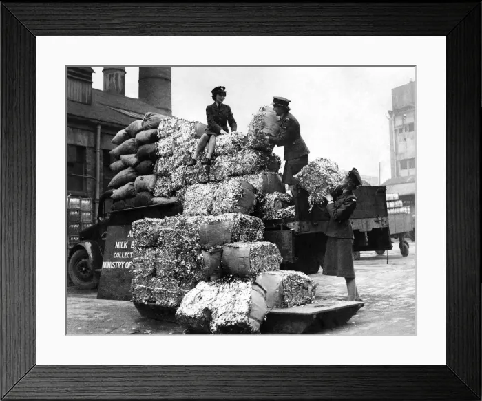 Framed Print : It looks as though these WaFs are trying to make the top of the tall chimney their Framed Print : It looks as though these WaFs are trying to make the top of the tall chimney their