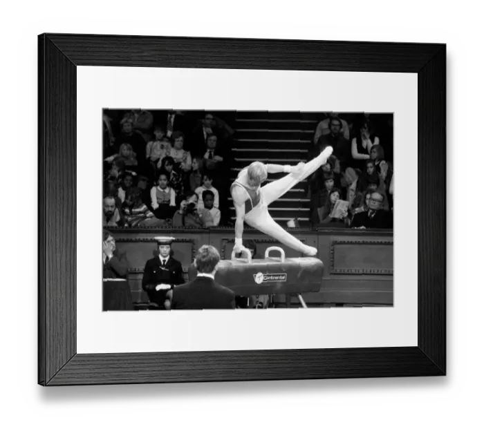 Framed Print : Champions Cup at the National Gymnastics Tournament at The Royal Albert Hall Framed Print : Champions Cup at the National Gymnastics Tournament at The Royal Albert Hall