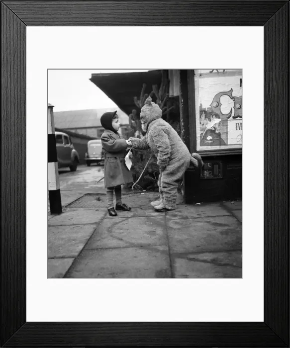 Framed Print : The cat from Dick Whittington seen here shaking hands with a young admirer after being Framed Print : The cat from Dick Whittington seen here shaking hands with a young admirer after being