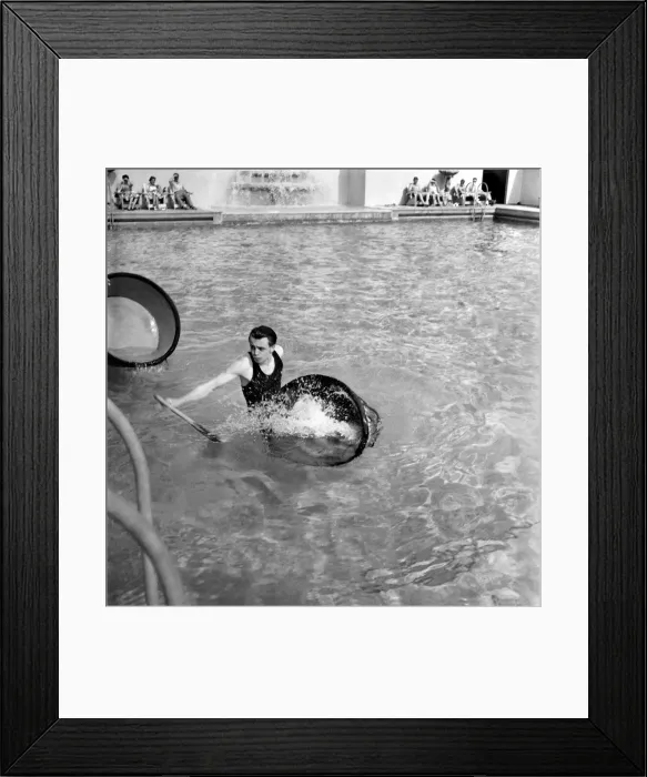 Framed Print : Tub racing at the Brighton Ocean Hotel Lido. The tub racing competition was sponsored by