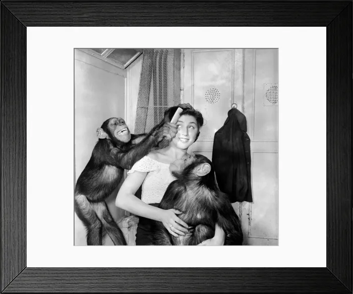 Framed Print : Attractive Elvira Sciplini wife of the Chimps trainer with Bertram Mills Framed Print : Attractive Elvira Sciplini wife of the Chimps trainer with Bertram Mills