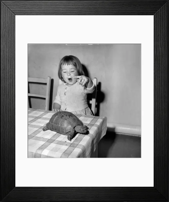 Framed Print : Girl named Rita with her pet tortise, at the Springdale Nursery, Stoke Newington