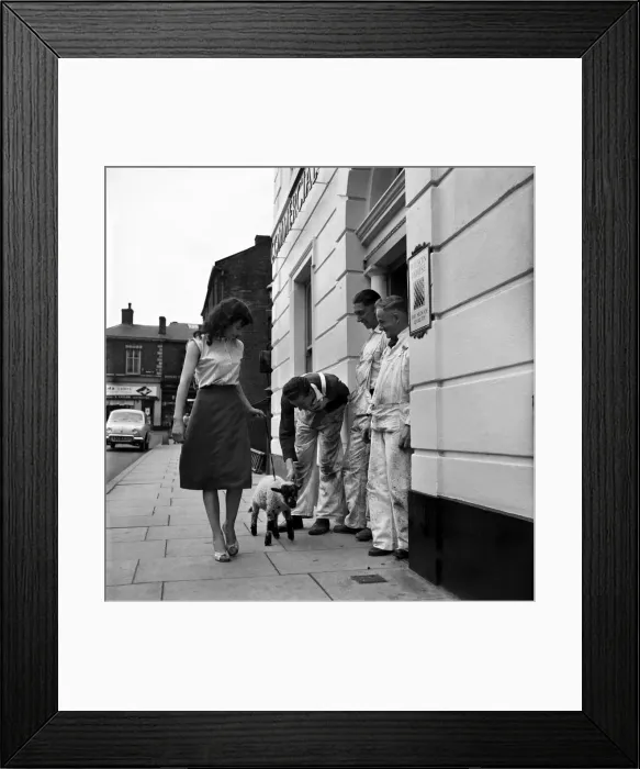 Framed Print : Woman and Lamb. 20yrs old Margaret Harrison of Stalybridge Cheshire with her pet lamb Framed Print : Woman and Lamb. 20yrs old Margaret Harrison of Stalybridge Cheshire with her pet lamb