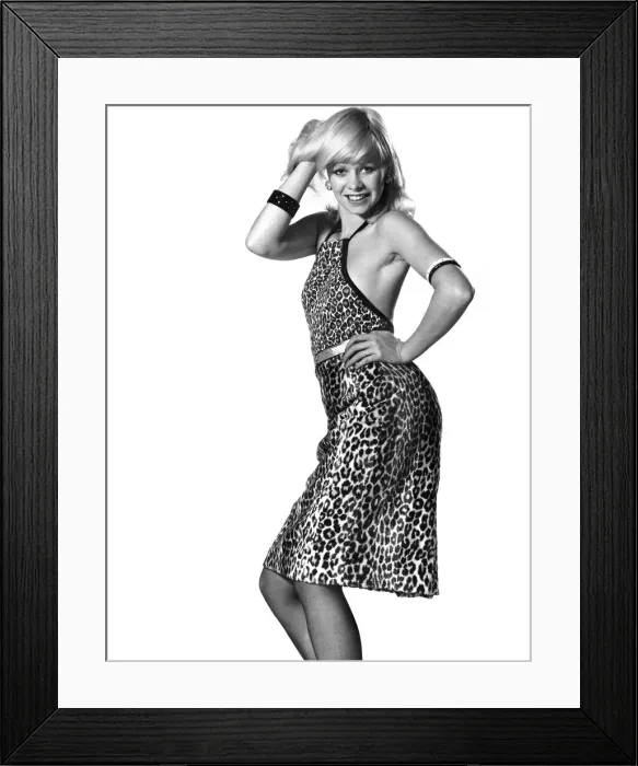 Framed Print : Jo Howard modelling halter neck animal print dress. November 1973 P008458