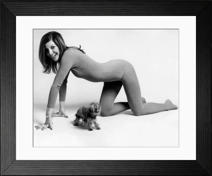 Framed Print : Lynn Marshall - Yoga Exponent seen here with her dog. Circa 1970 P013269